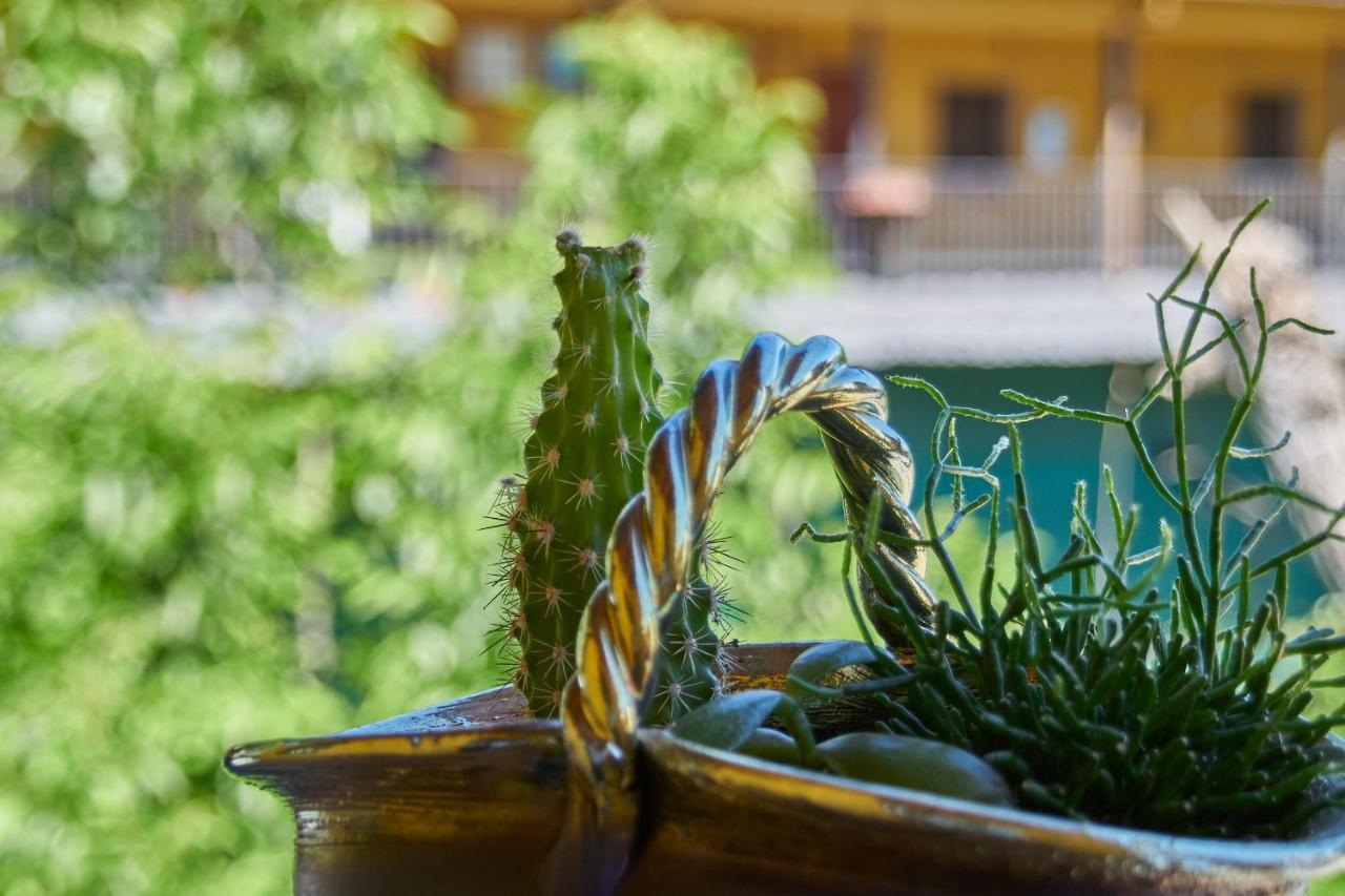 Casa El Susurro Villa Ponferrada Ngoại thất bức ảnh